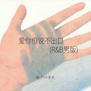 爱你但说不出口 (R&B男版)