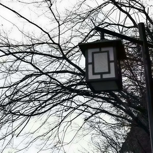 我的姑娘 她在远方