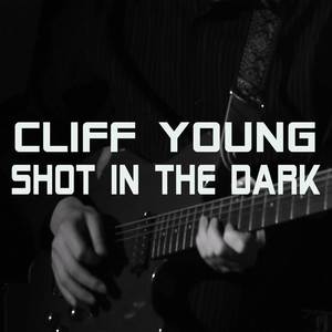 Shot in the Dark (Cover)