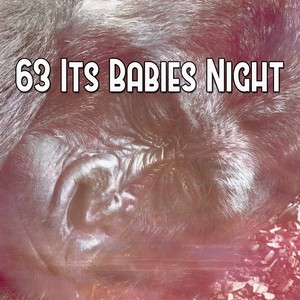 63 Its Babies Night