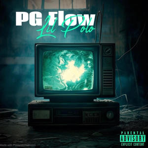 Pg Flow (Explicit)