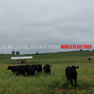 Fly Wht Girl$ $Pace a$Tro Mtn$ $Hroom$