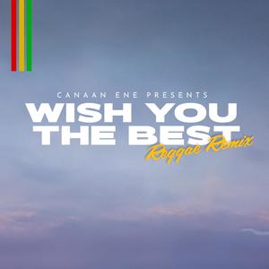 Wish You The Best (Reggae Edit)