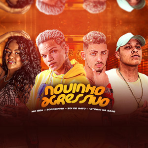 Novinho Agressivo(feat. É o Robinho & Mc Magrinho) (Explicit)