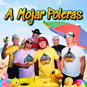 A mojar poleras