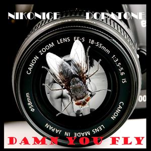 Damn You Fly (Explicit)