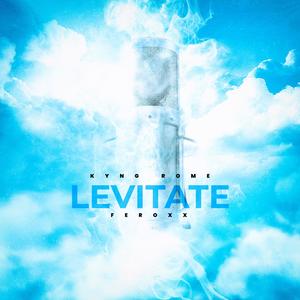 Levitate (feat. Feroxx) [Explicit]