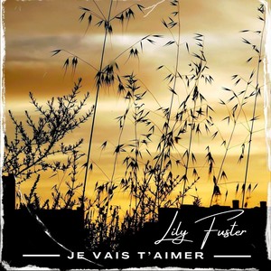 Je Vais T'aimer (Explicit)