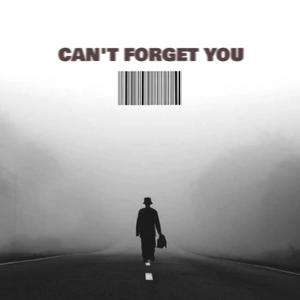 Can't Forget You (Explicit)
