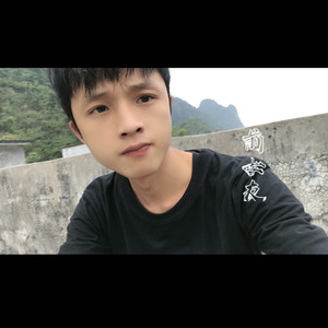 山楂树之恋 (DJ版)