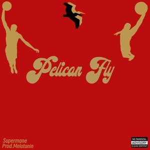 Pelican Fly