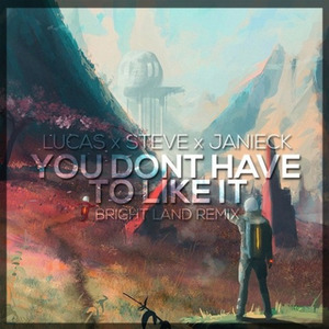 You Don't Have To Like It (Bright Land Remix)