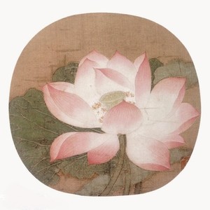 莲