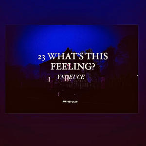 23 WHAT'S THIS FEELING? (Explicit)