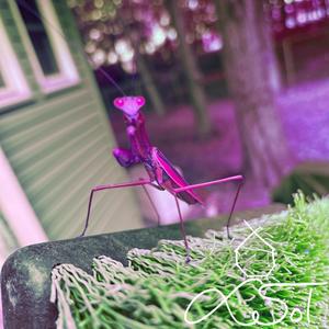 Been A Minute (Explicit)