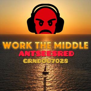 Work The Middle (feat. Ant Sees Red)