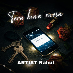 Tera Bina mein