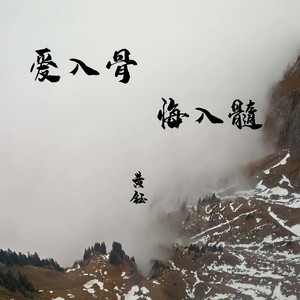 爱入骨，悔入髓 (伴奏)