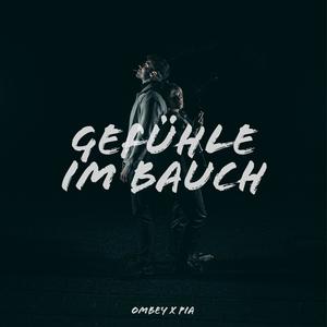 Gefühle im Bauch (feat. PIA) [Explicit]