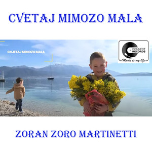 Cvetaj mimozo mala