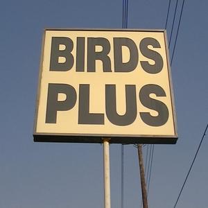 BIRDS PLUS (feat. Mr. Anderson) (Explicit)