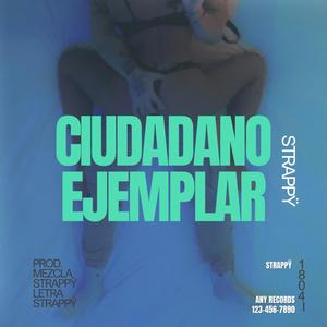 Ciudadano ejemplar