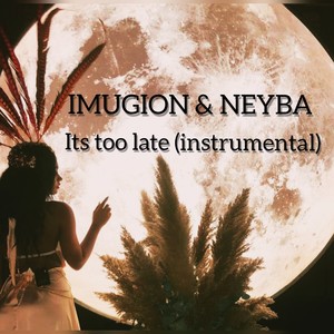 It's too late (Inst.)