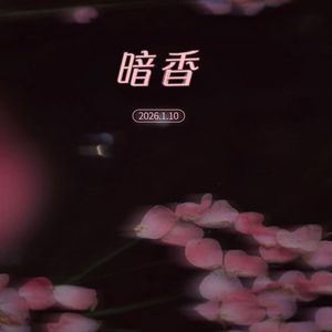 暗香-金雪瑶