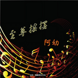 阿幼 - 3d环绕857 (DJ版)