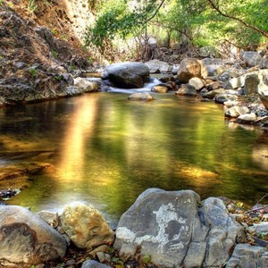 心碎的梦-南冥有鱼