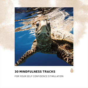 30 Mindfulness Tracks for Your Self Confidence Stimulation