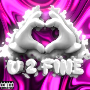 U 2 FINE (Explicit)