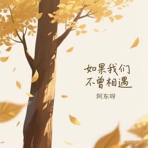 如果我们不曾相遇