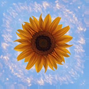 GOOD TO ME (slowed + reverb)