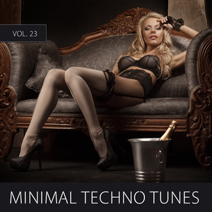 Minimal Techno Tunes, Vol. 23