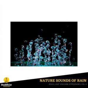 Nature Sounds of Rain - Dewy, Light and Dark Atmospheres, Vol. 9