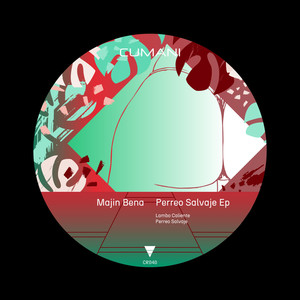 Perreo Salvaje (Original Mix)