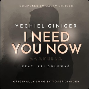 I Need You Now [feat. Ari Goldwag] (Acapella)