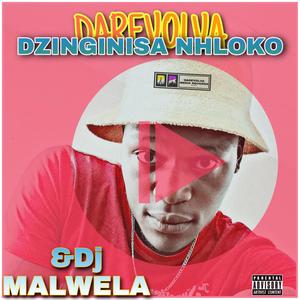Dzinginisa Nhloko (feat. Dj MALWELA)
