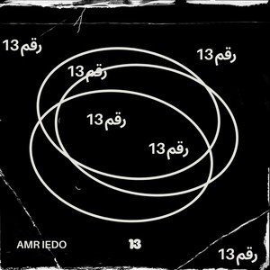 رقم ١٣