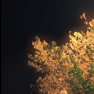 Pendiente al Fon (feat. Lagher H) (Explicit)