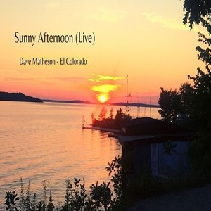 Sunny Afternoon (Live)