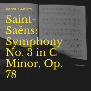 Symphony No. 3 in C Minor, Op. 78: I. Adagio, Allegro Moderato, Organ