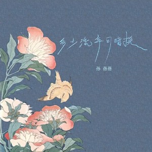 多少流年可暗换