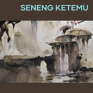 seneng ketemu