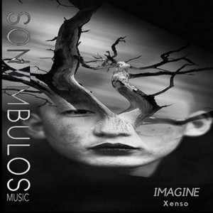 Imagine (Original Mix)