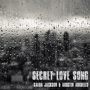 Secret Love Song