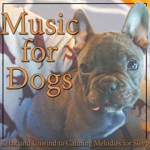 Music for Dogs: Relax and Unwind to Calming Melodies for Sleep