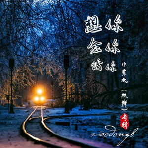 想你念你盼你 (伴奏)