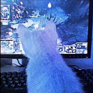 Digikrush! (sped up)